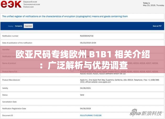 欧亚尺码专线欧州 B1B1 相关介绍：广泛解析与优势调查