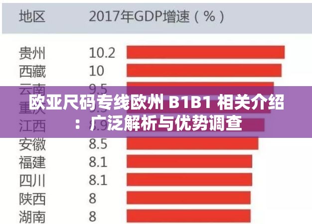 欧亚尺码专线欧州 B1B1 相关介绍：广泛解析与优势调查