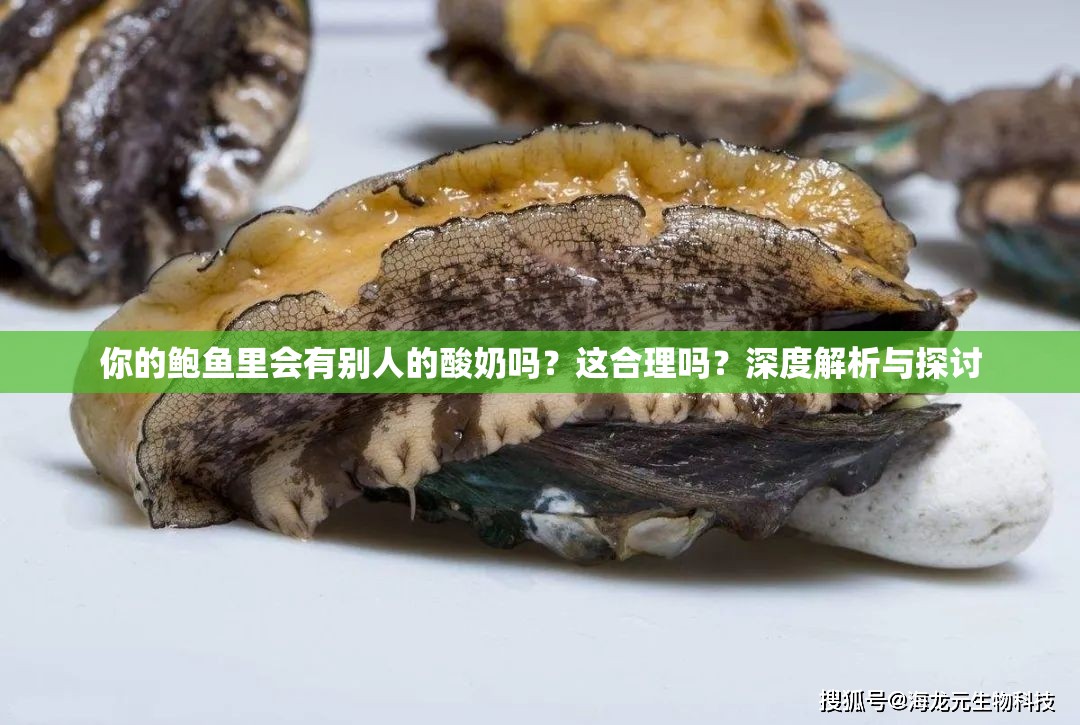 你的鲍鱼里会有别人的酸奶吗？这合理吗？深度解析与探讨