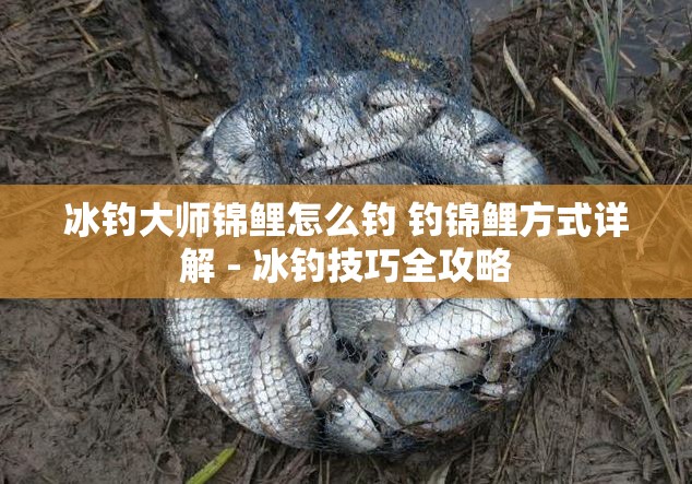 冰钓大师锦鲤怎么钓 钓锦鲤方式详解 - 冰钓技巧全攻略