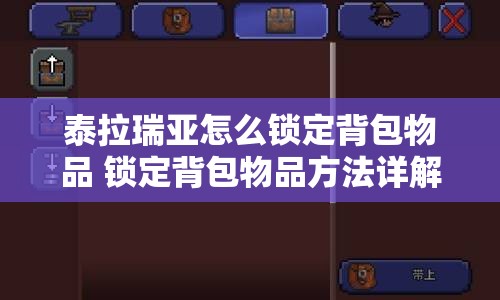 泰拉瑞亚怎么锁定背包物品 锁定背包物品方法详解