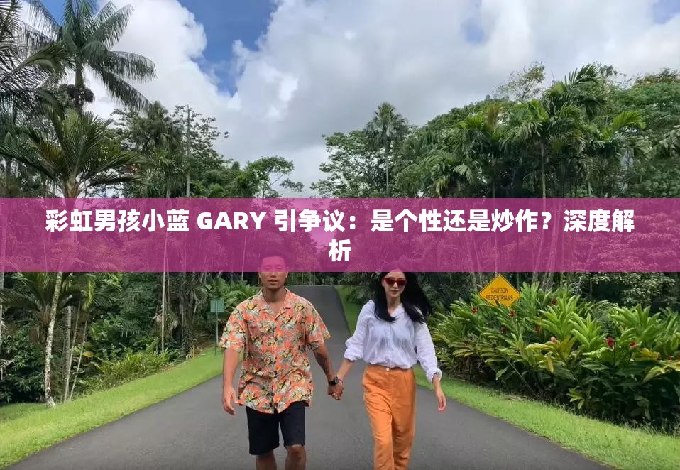 彩虹男孩小蓝 GARY 引争议：是个性还是炒作？深度解析