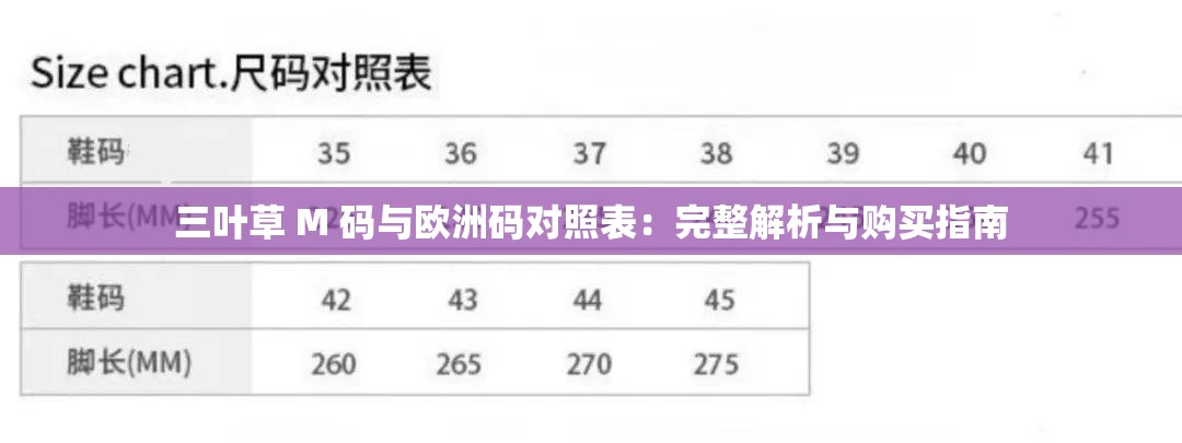 三叶草 M 码与欧洲码对照表：完整解析与购买指南