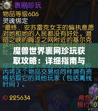 魔兽世界裹网珍玩获取攻略：详细指南与技巧