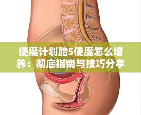 使魔计划胎5使魔怎么培养：彻底指南与技巧分享