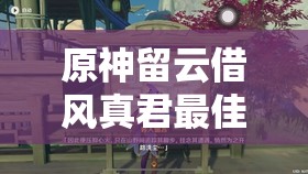 原神留云借风真君最佳配队阵容推荐与实战技巧