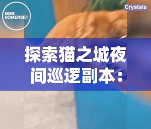 探索猫之城夜间巡逻副本：新手攻略与技巧分享